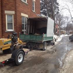 05-arborpro-tree-service-montreal