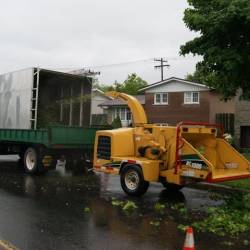 12-arborpro-tree-service-montreal